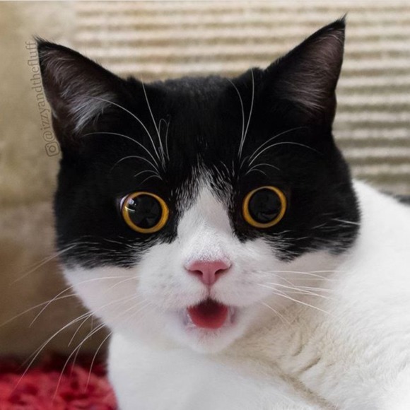 mathewsred
